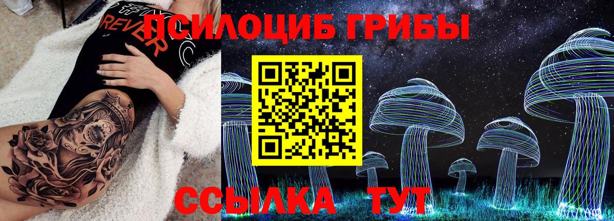 Псилоцибиновые грибы Psilocybe Кимры