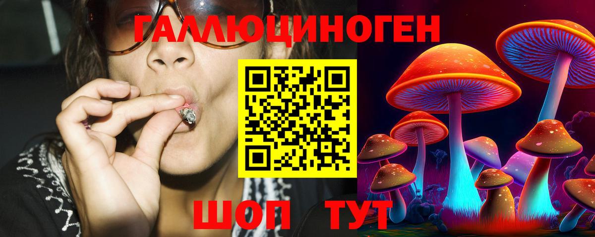 Псилоцибиновые грибы Cubensis  Вход с VPN  Кимры 